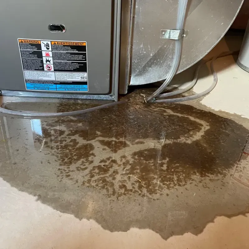 Appliance Leak Cleanup in New Britain, PA